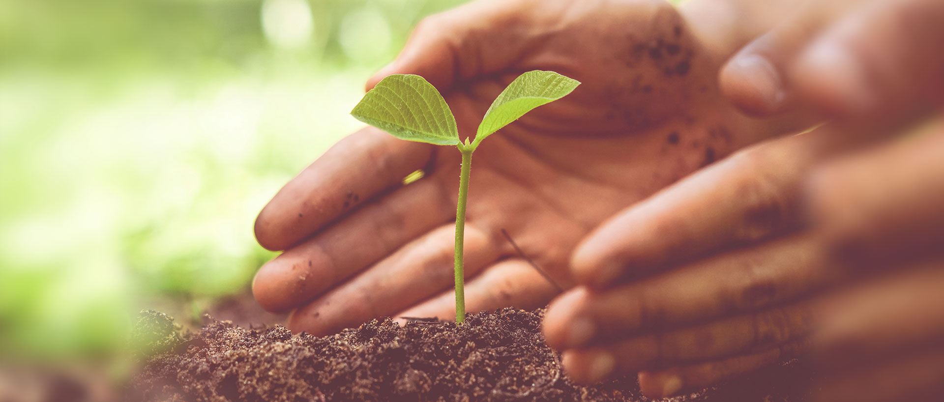Cuidar do meio ambiente é muito mais que manter o ambiente limpo. É aprimorar processos para evitar gastos desnecessários